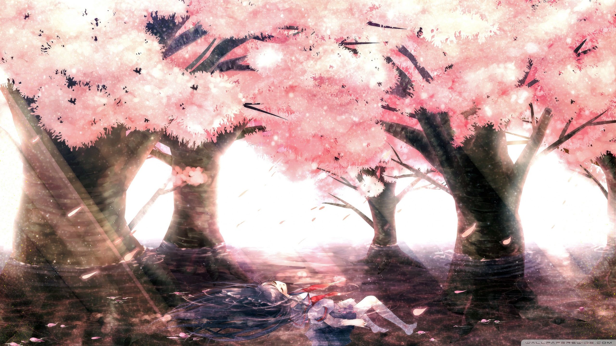 Pink Sakura Tree Anime Aesthetic Wallpapers Wallpaper Cave
