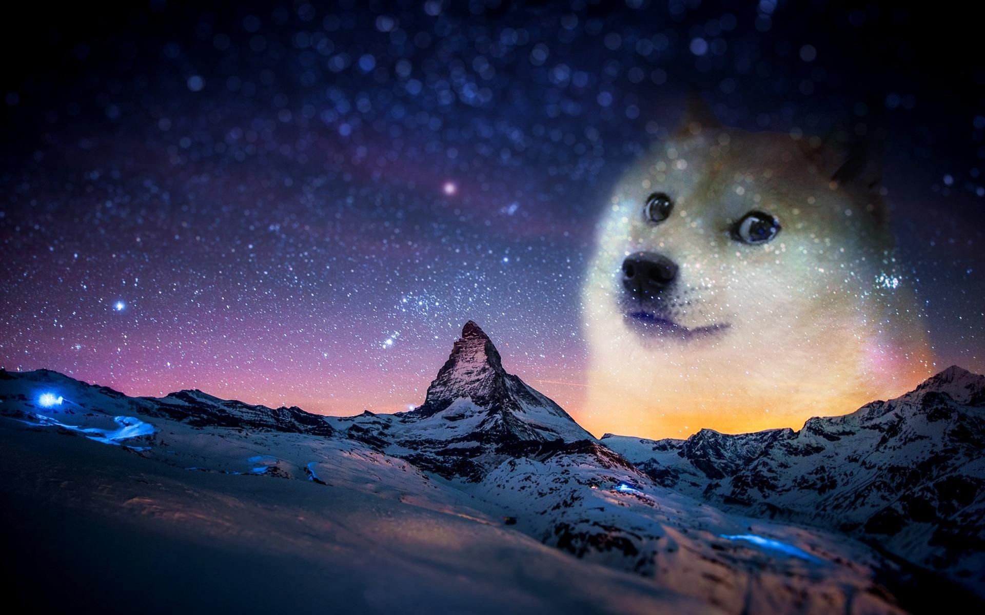 Dog In Space Wallpapers Wallpaper Cave