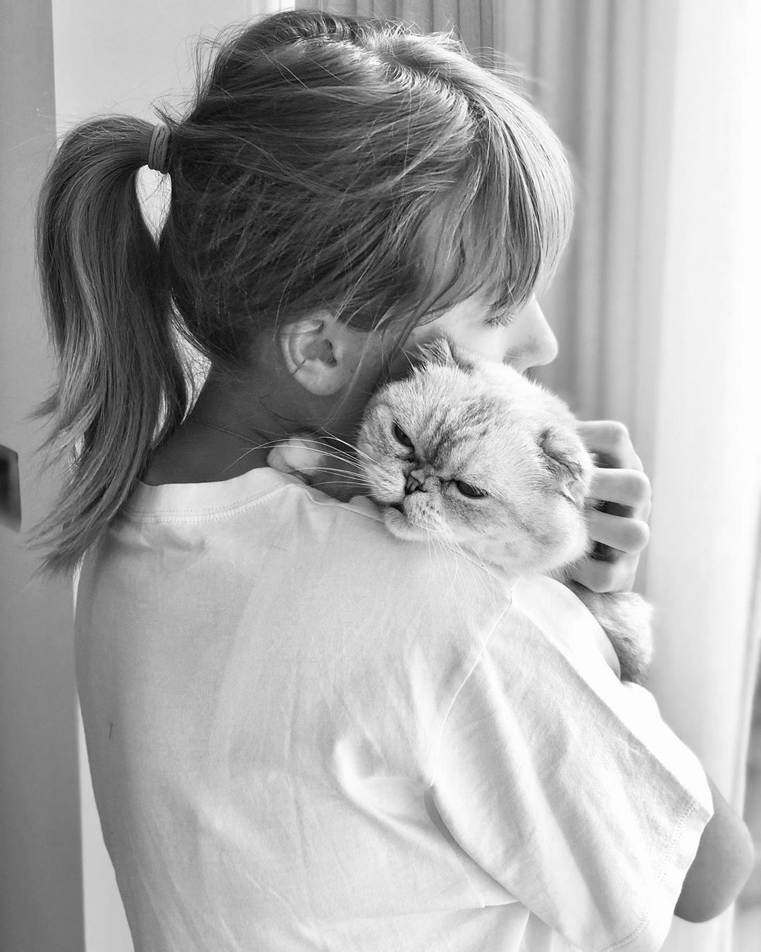Taylor Swifts Cats Wallpapers Wallpaper Cave