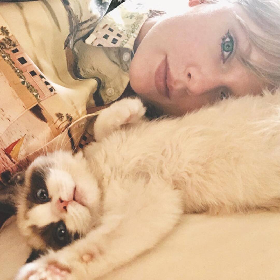 Taylor Swifts Cats Wallpapers Wallpaper Cave