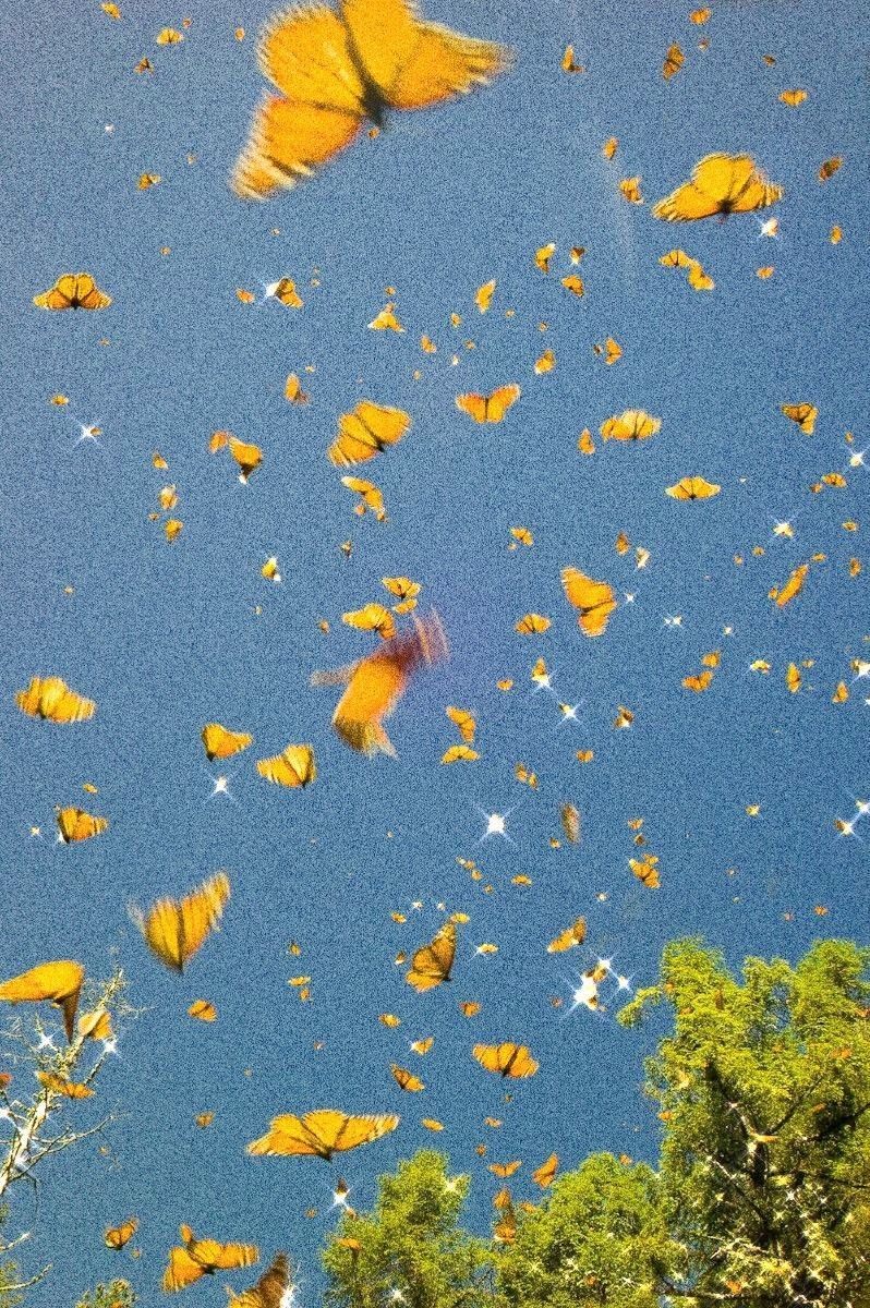 VSCO Sideways Wallpapers Wallpaper Cave