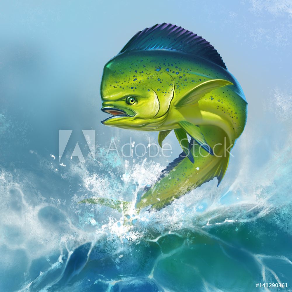 Mahi Mahi Fish Wallpaper