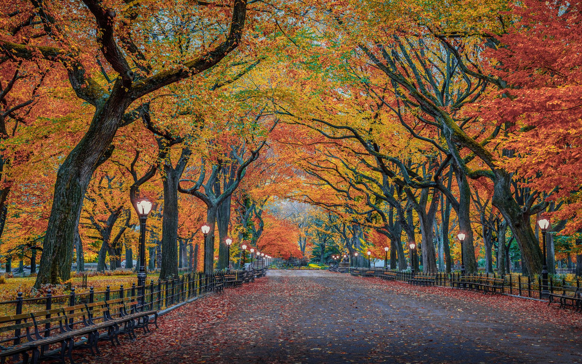 HD NYC Autumn Wallpapers Wallpaper Cave