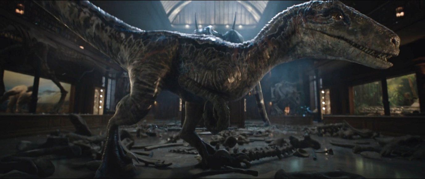 Indoraptor Vs Blue Wallpapers Wallpaper Cave