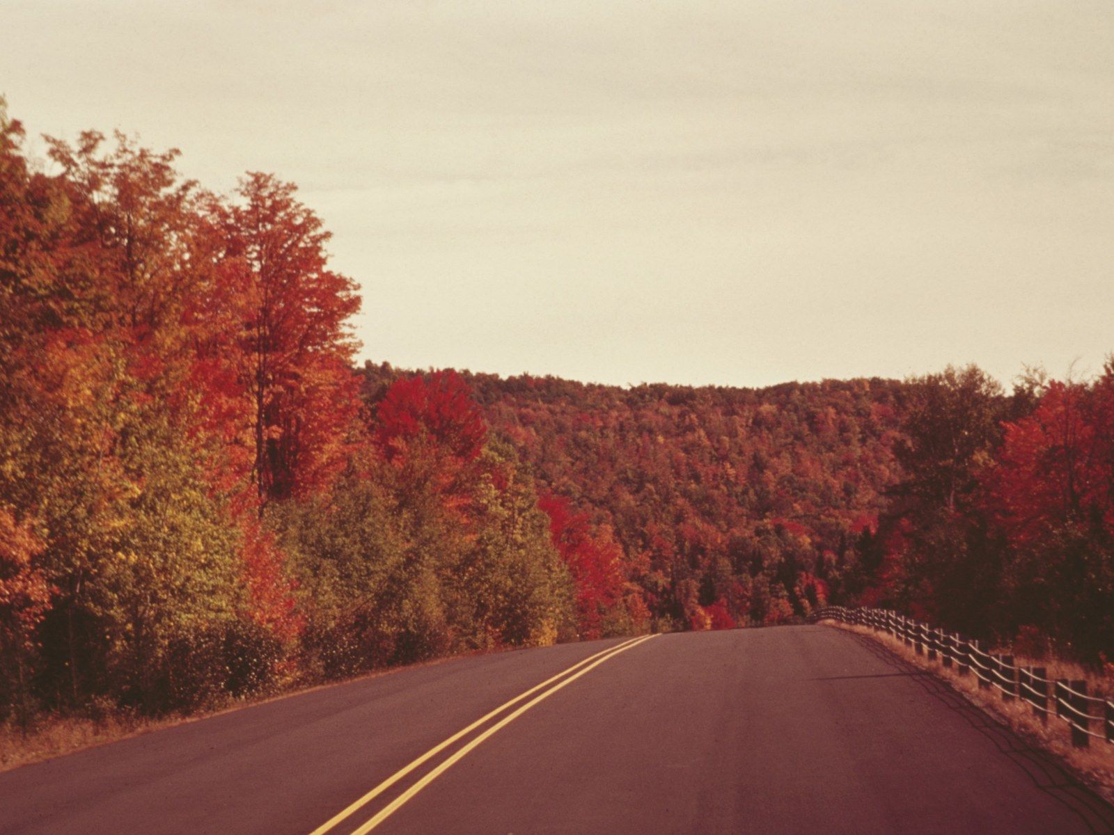 Yellow Aesthetic Background Landscape