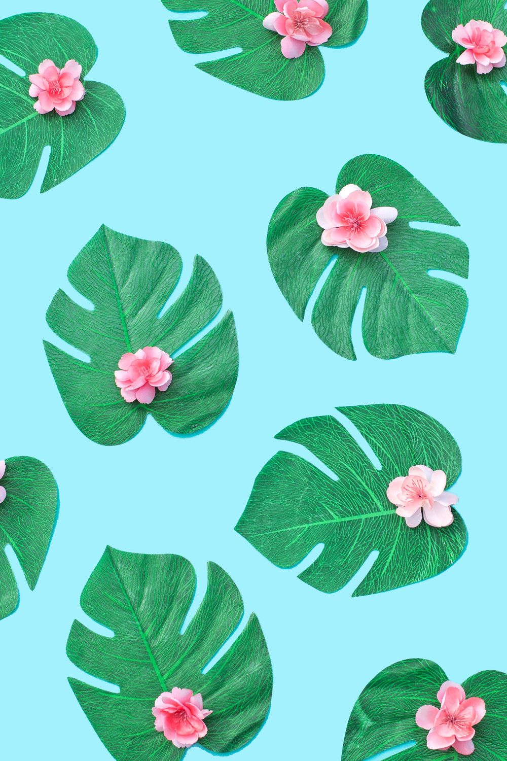 Tinder Wallpapers Wallpaper Cave