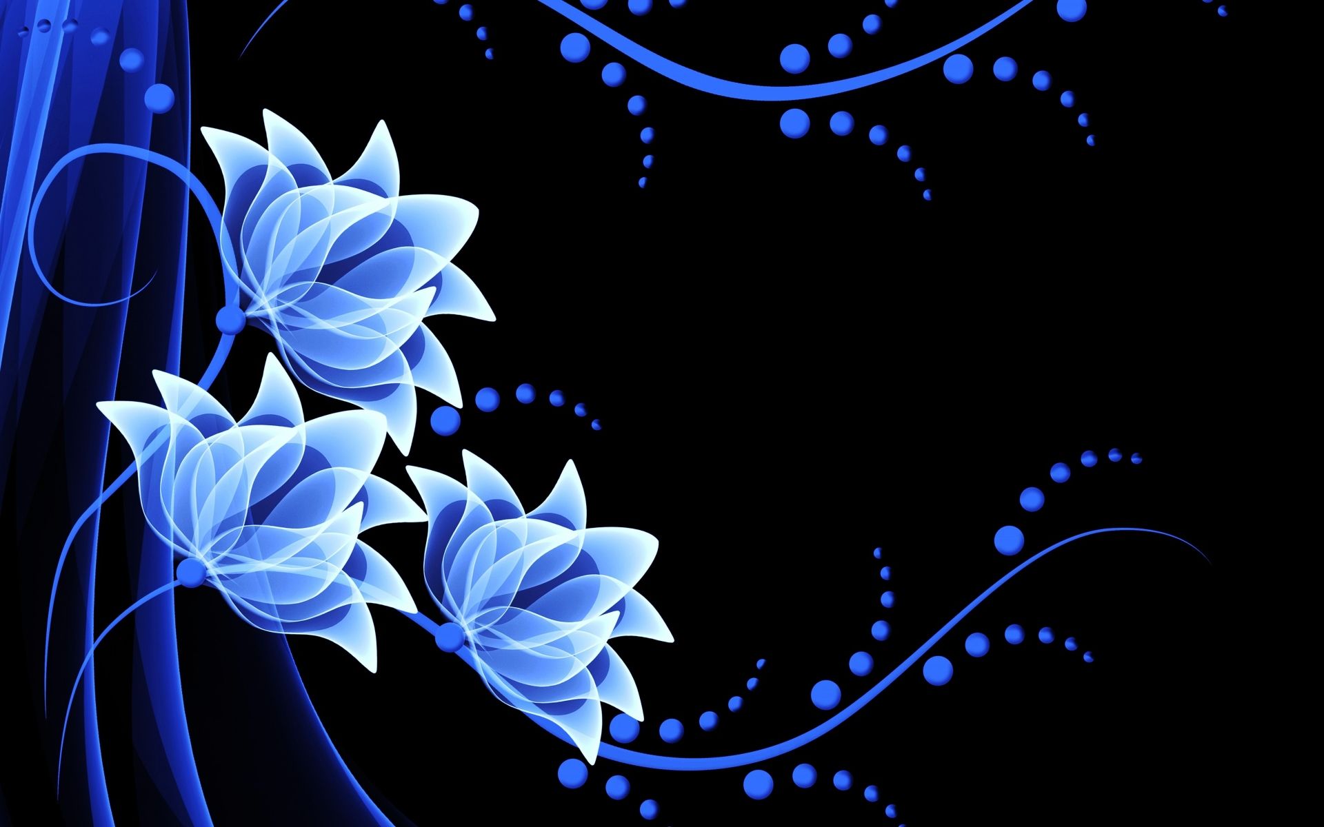 White Blue Flowers HD Wallpapers Wallpaper Cave