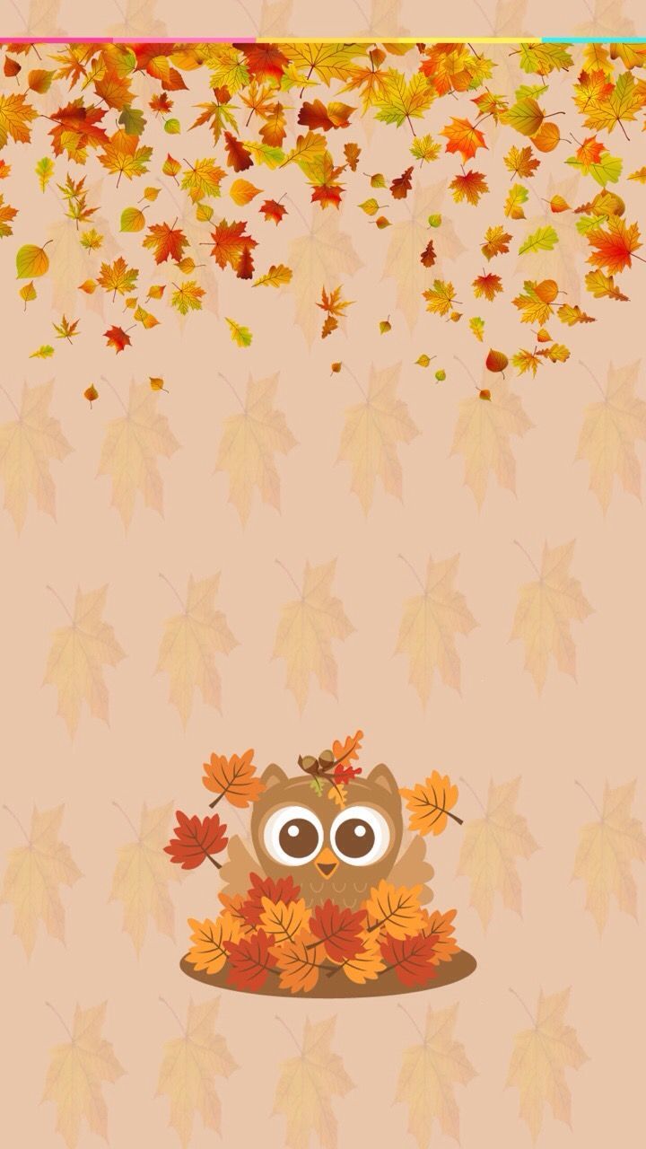 Autumn Owl Wallpapers Wallpaper Cave