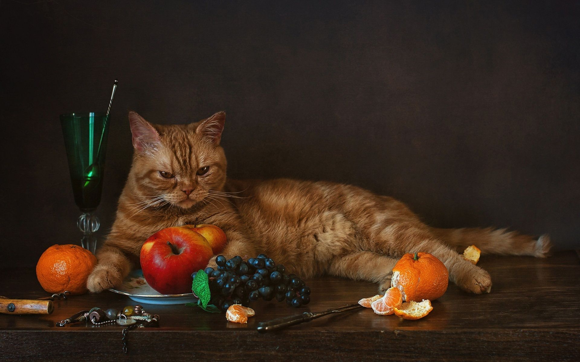 Cats And Thanksgiving Wallpapers Wallpaper Cave