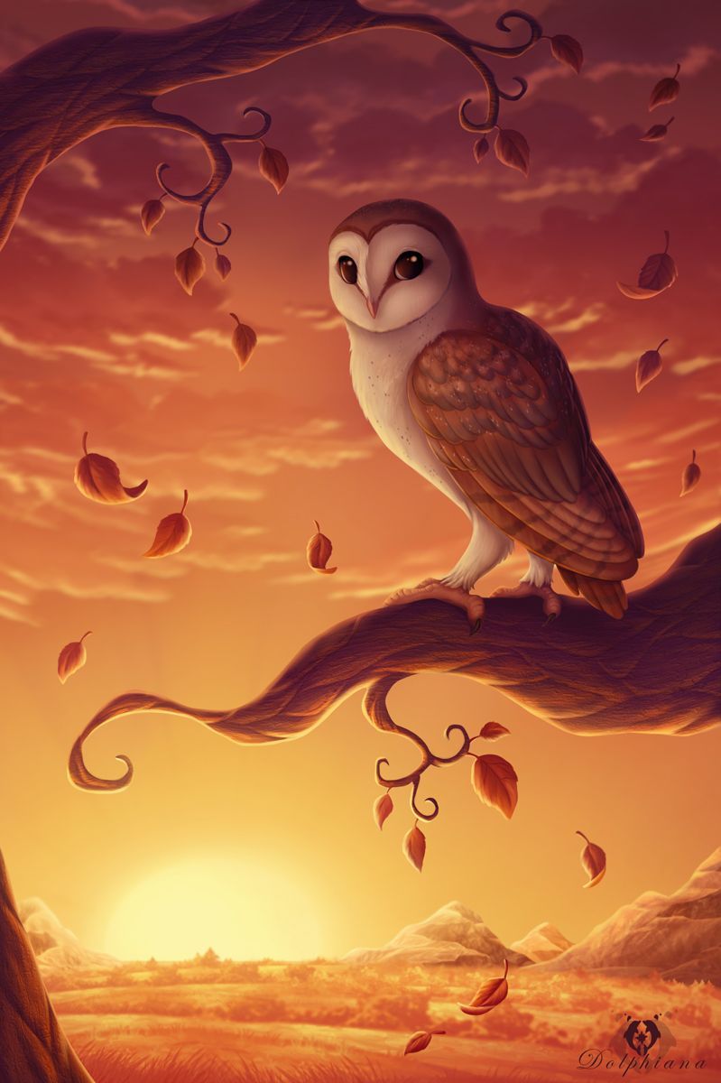 Autumn Owl Wallpapers Wallpaper Cave