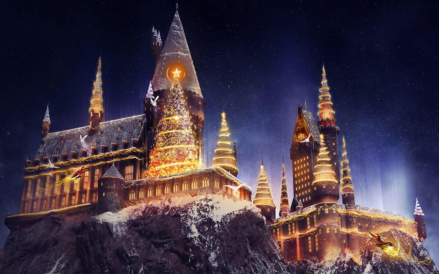 Aesthetic Christmas Harry Potter Wallpapers Wallpaper Cave
