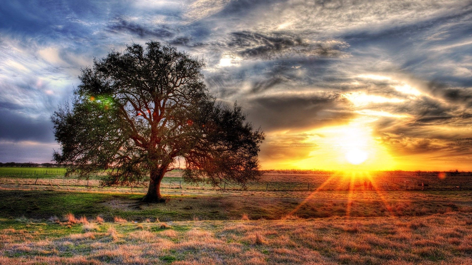 Autumn Sunrise Wallpapers Wallpaper Cave