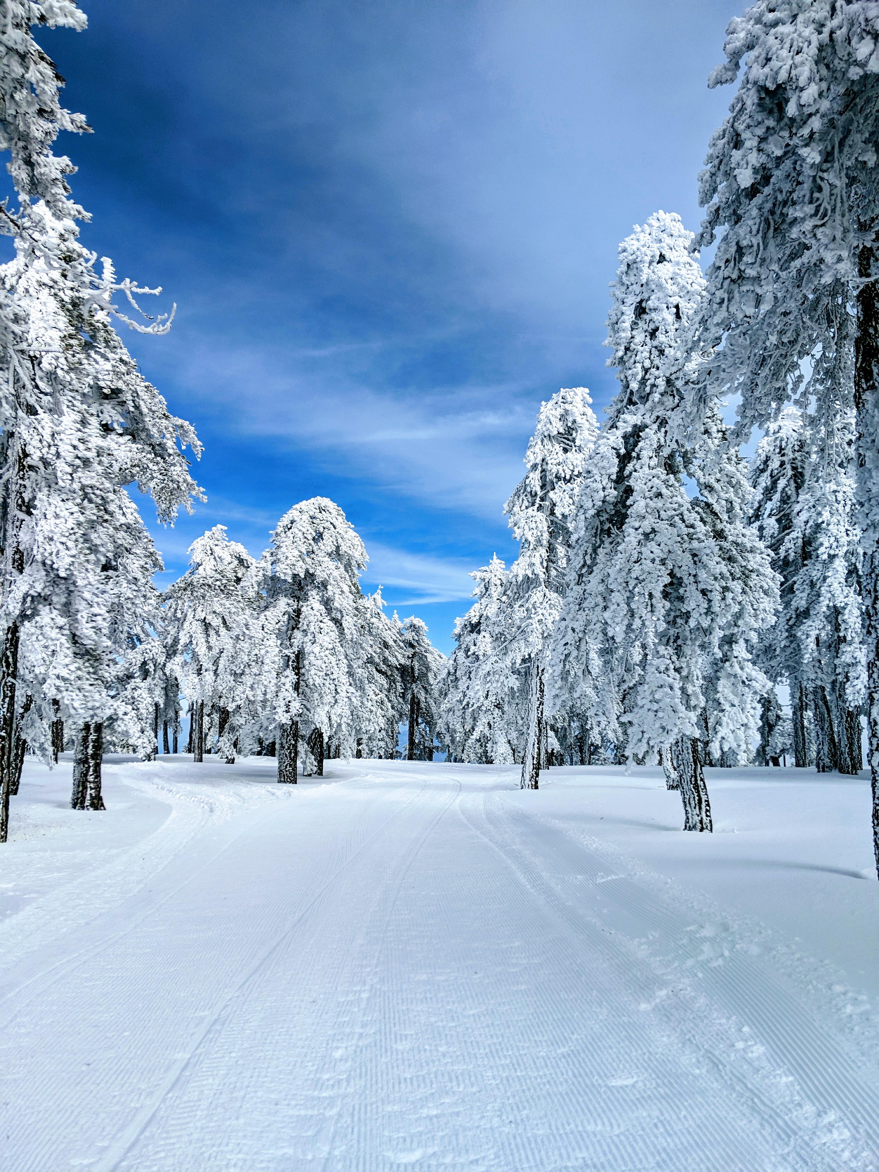 Pixel Winter Wallpapers Wallpaper Cave