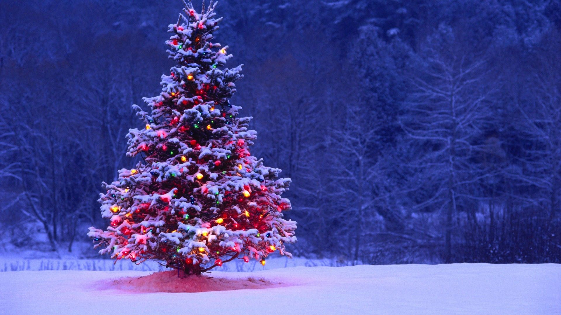 Christmas Tree Wallpaper 1920x1080