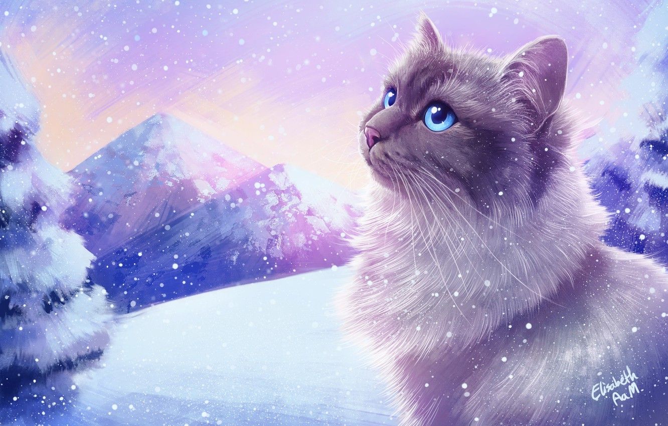 Cute Winter Cats Wallpapers Wallpaper Cave