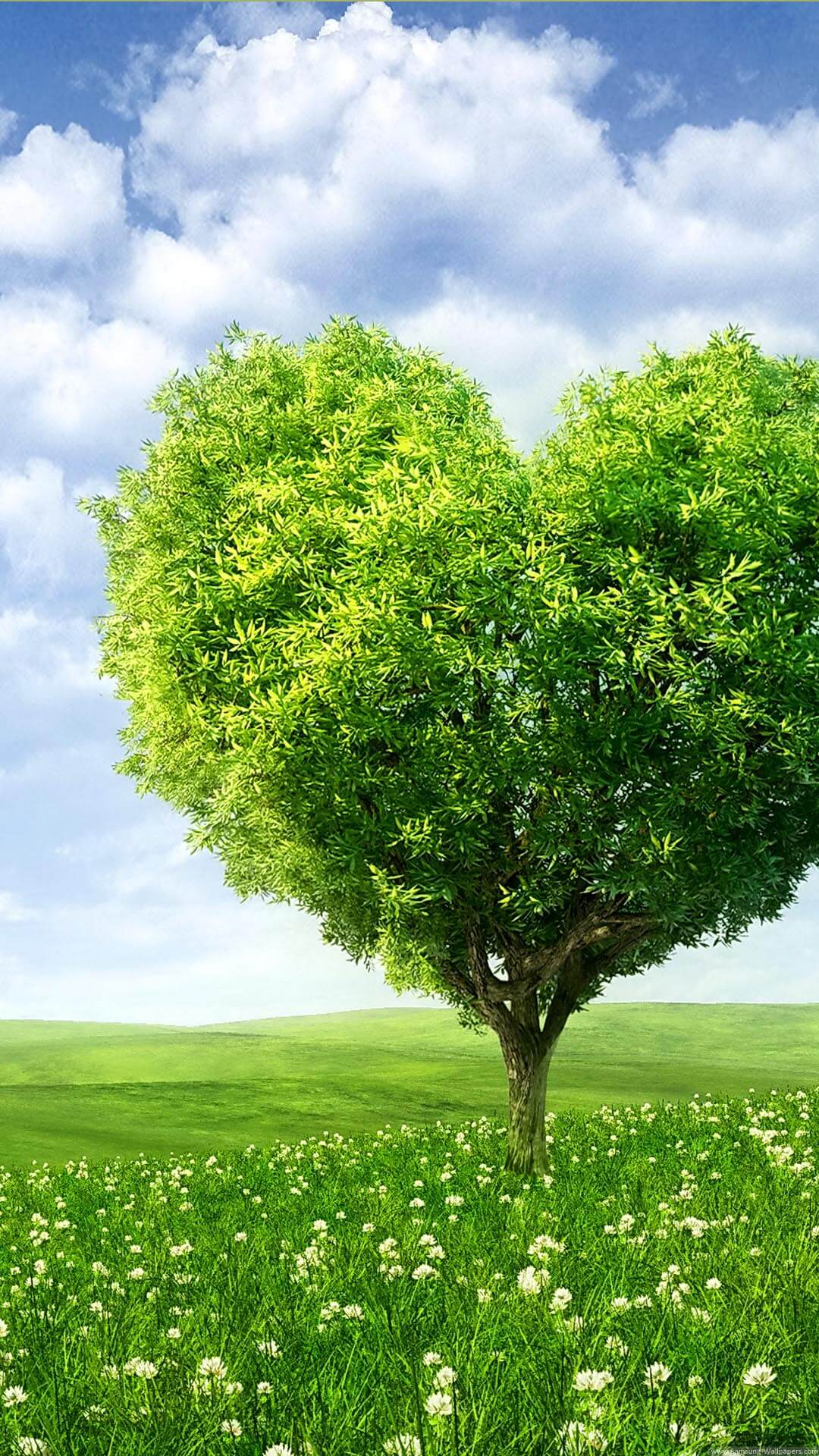 Beautiful Mobile Nature Wallpapers Wallpaper Cave