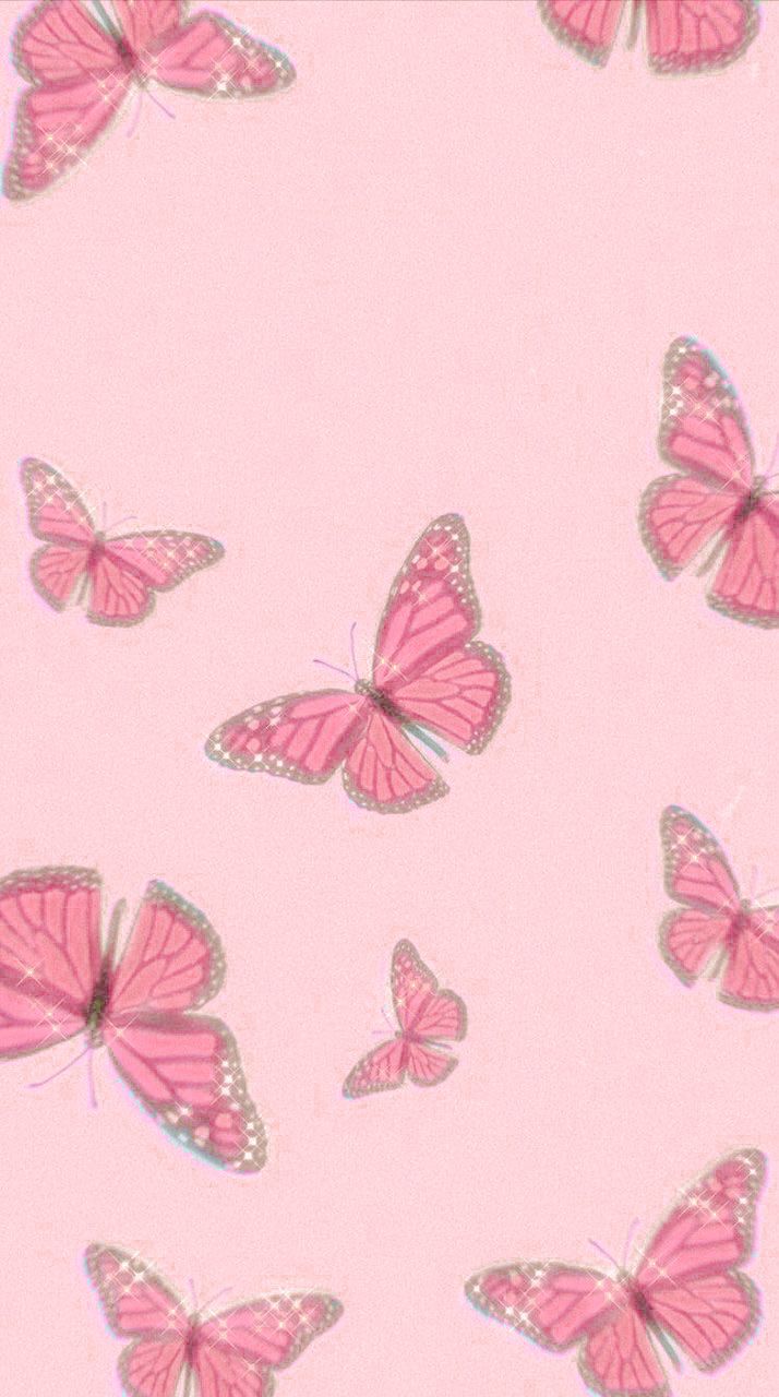 Cute Butterfly Baby Pink Wallpapers Wallpaper Cave