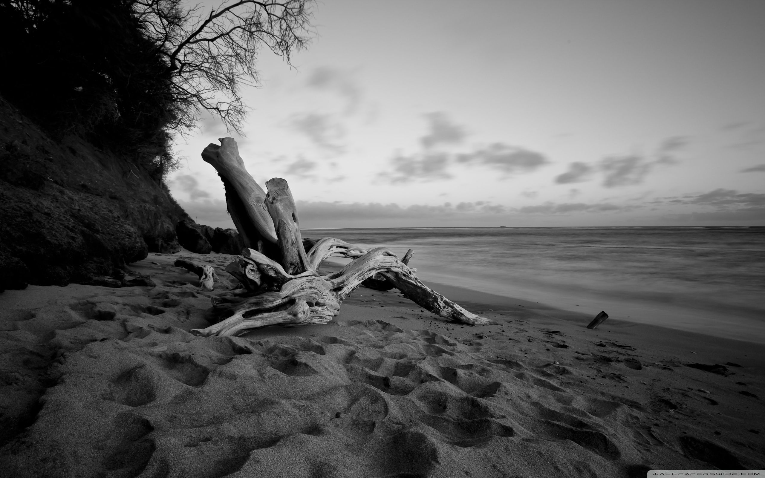 Black Beach Wallpapers Wallpaper Cave