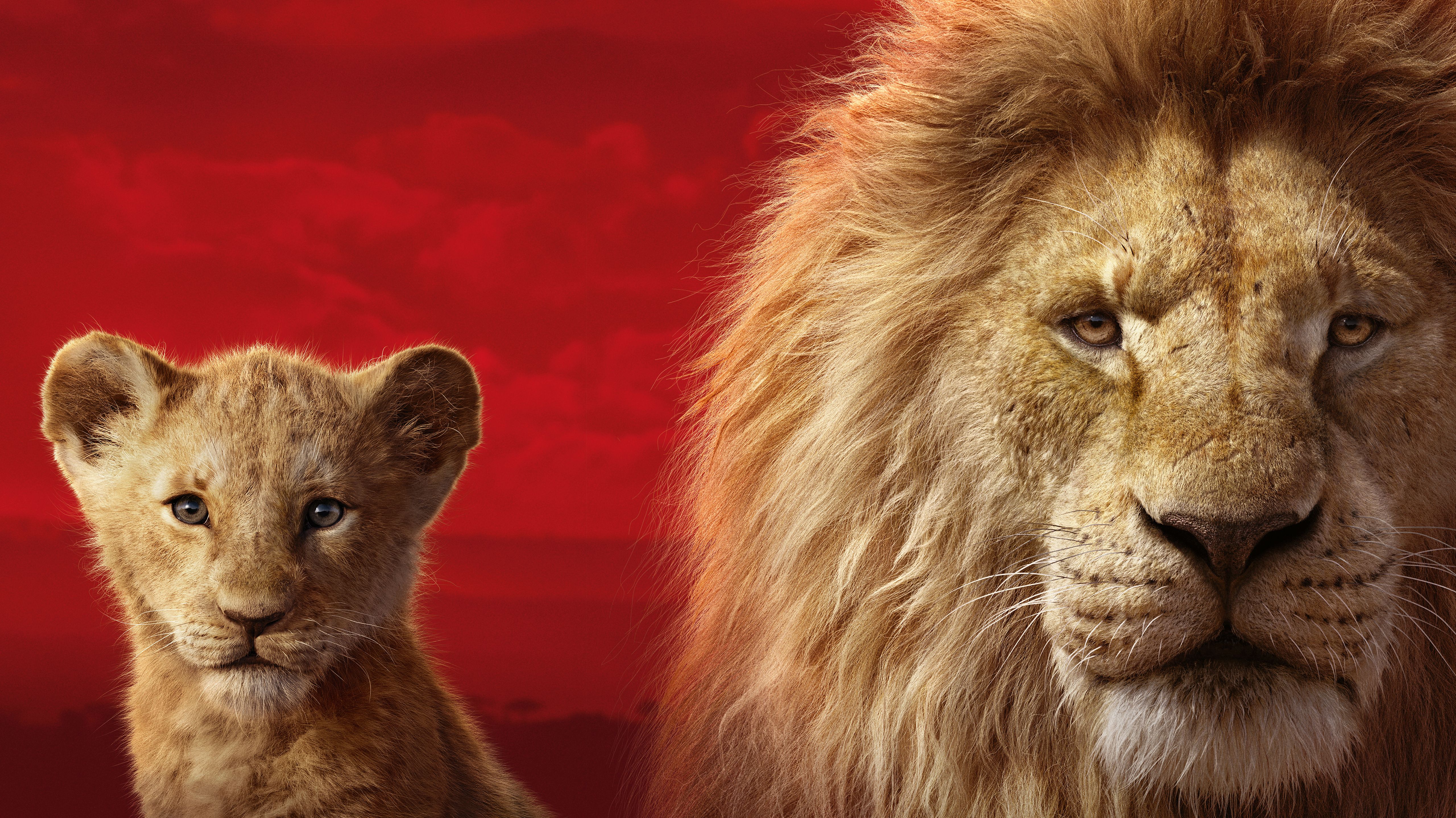 The Lion King Ultra HD Wallpapers Wallpaper Cave