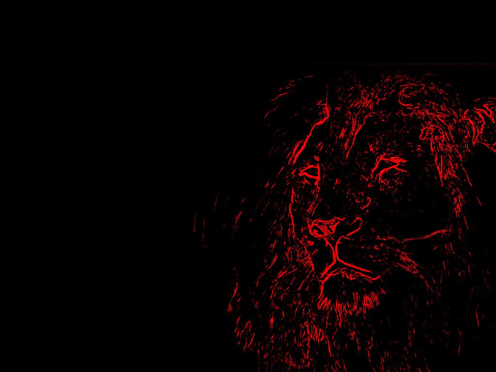 Red Lion Wallpapers Wallpaper Cave