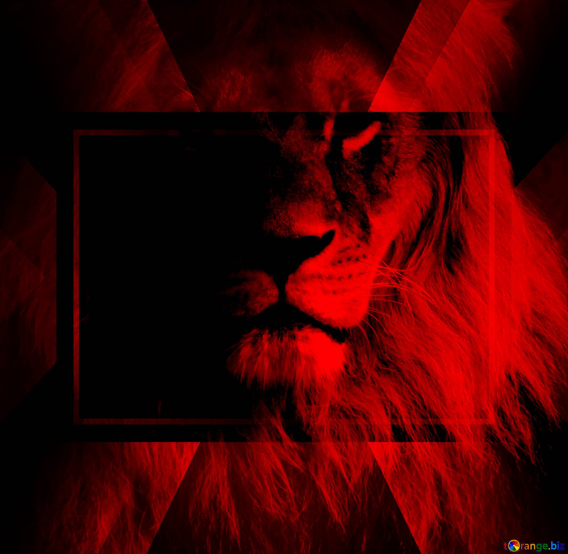 Red Lion Wallpapers Wallpaper Cave