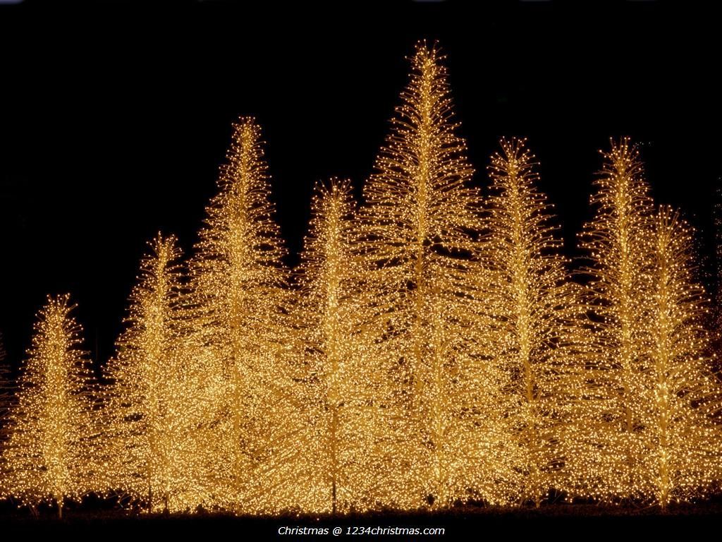 Gold Christmas Lights Wallpapers Wallpaper Cave