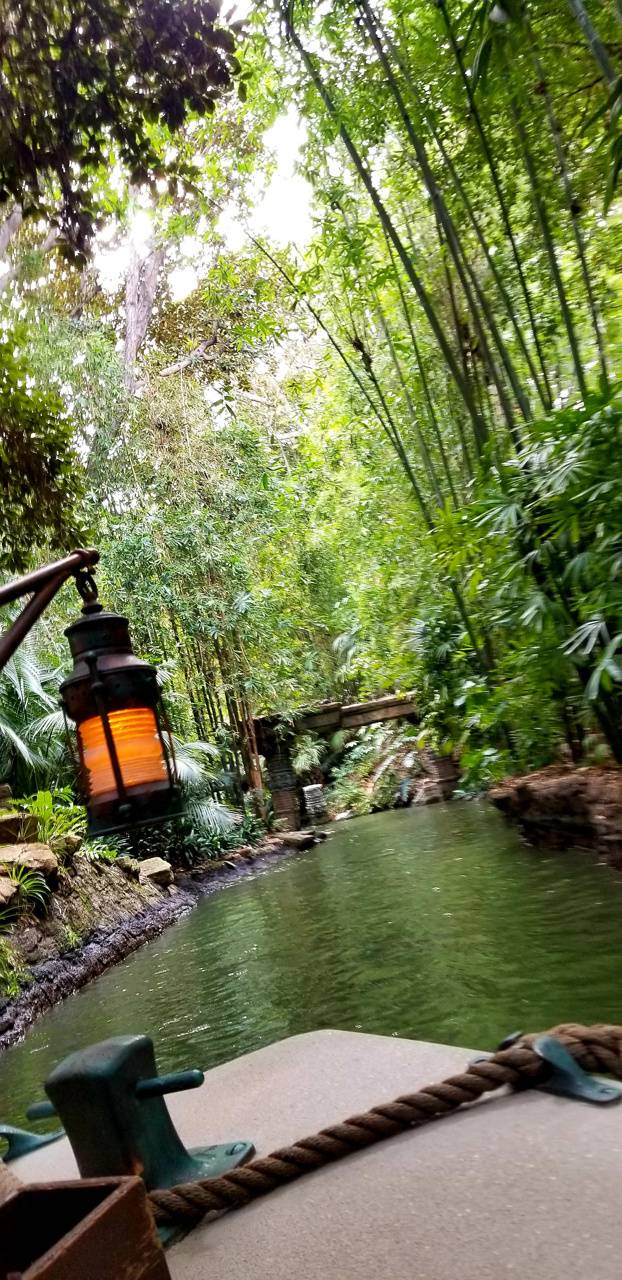 Jungle Cruise Wallpapers Wallpaper Cave