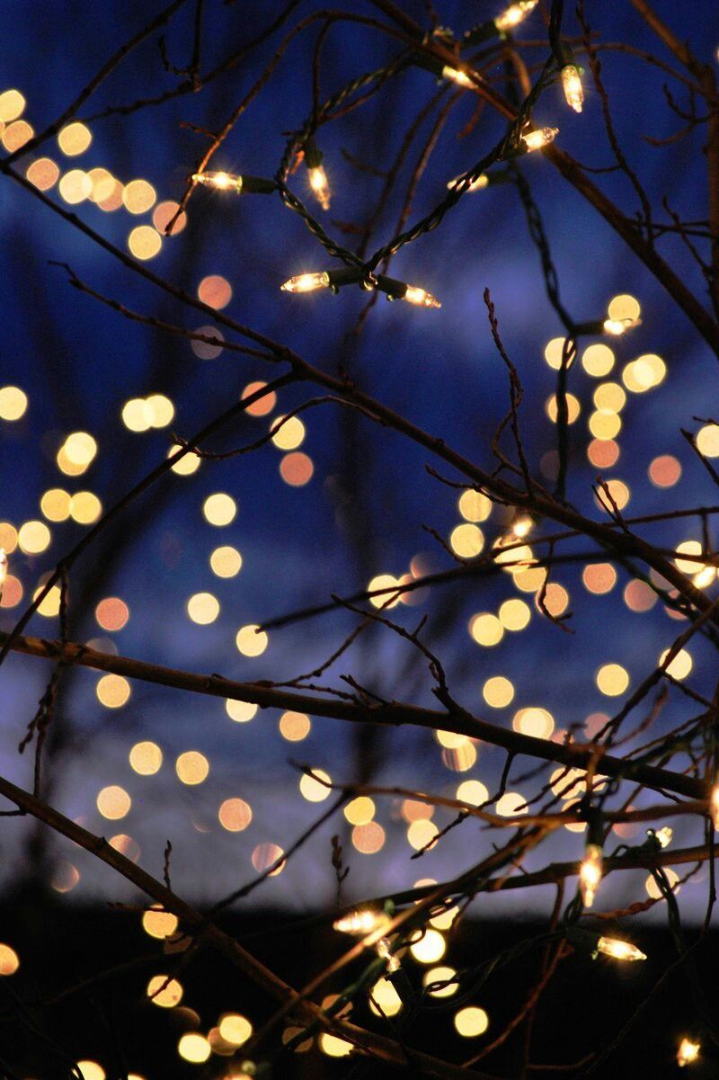 Twinkle Lights Wallpapers Wallpaper Cave