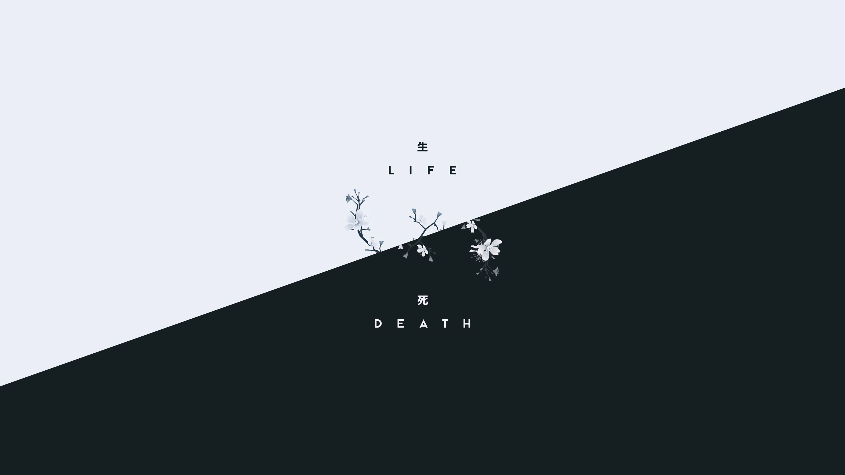 Life And Death Wallpapers Wallpaper Cave