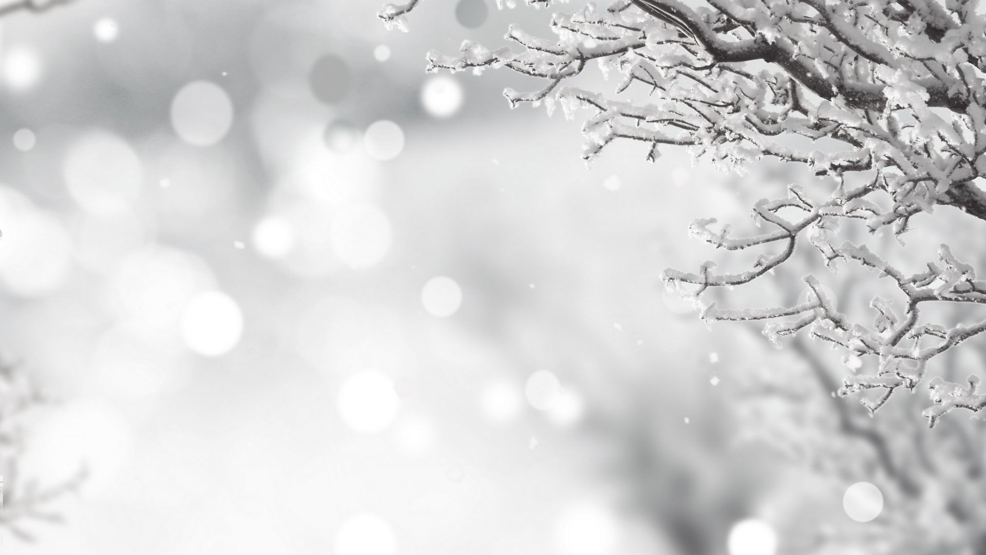 White Christmas Aesthetic Wallpapers Wallpaper Cave