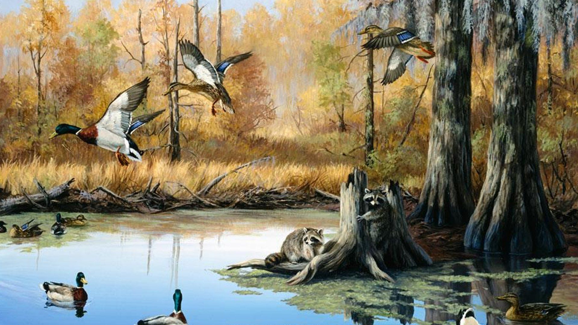 Hunting And Fishing Wallpapers Wallpaper Cave