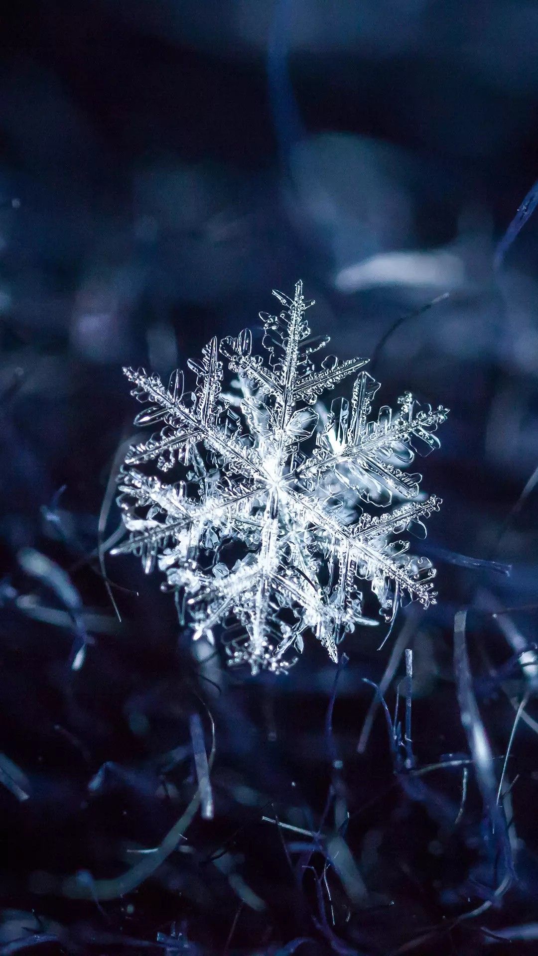 4k Dark For iPhone Wallpapers Wallpaper Cave