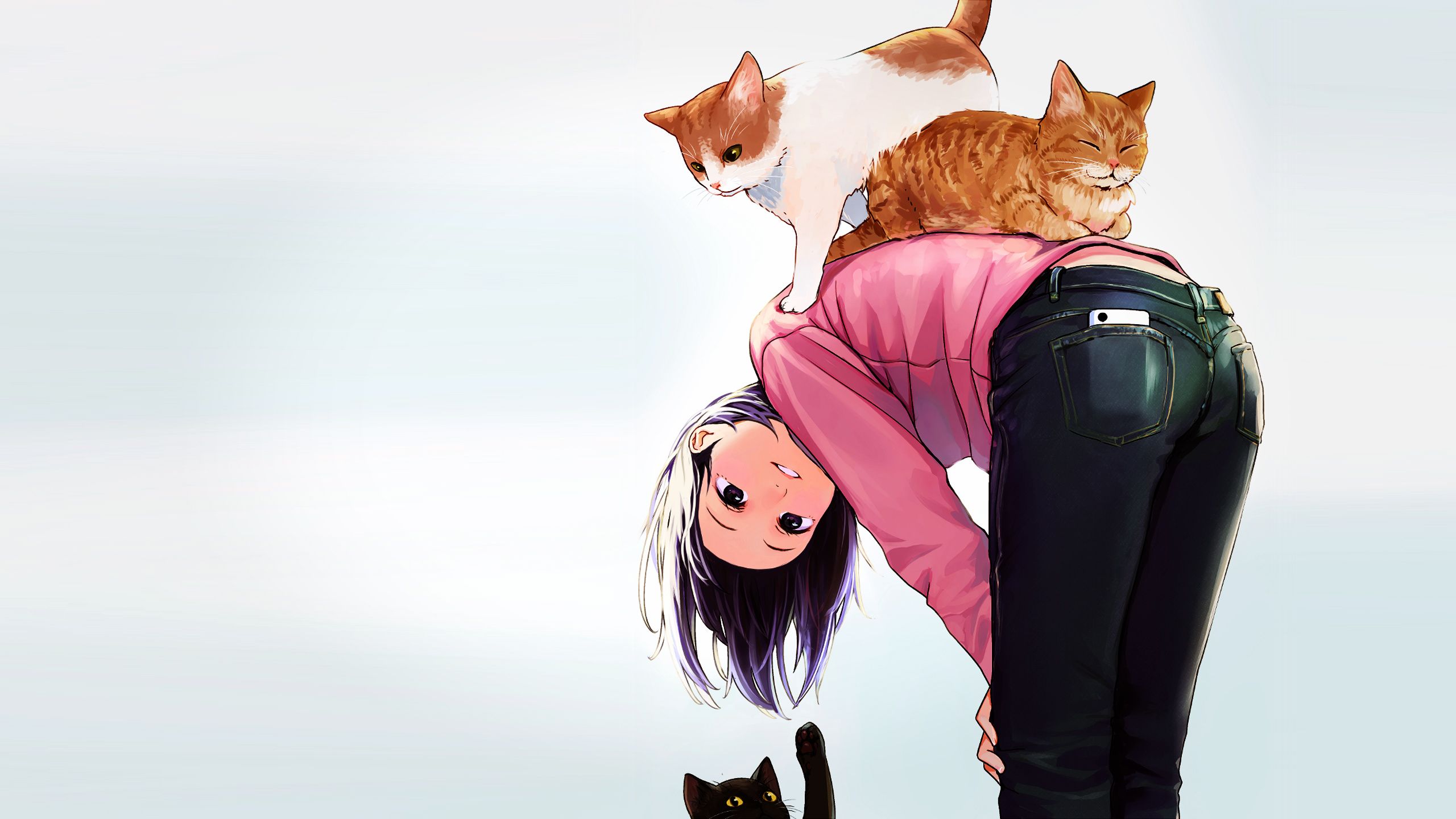 HD Girl And Cat Wallpapers Wallpaper Cave
