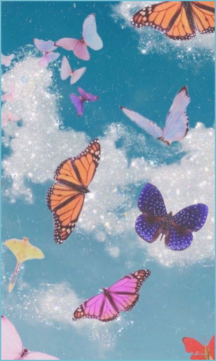 Butterflies Tumblr Wallpapers Wallpaper Cave