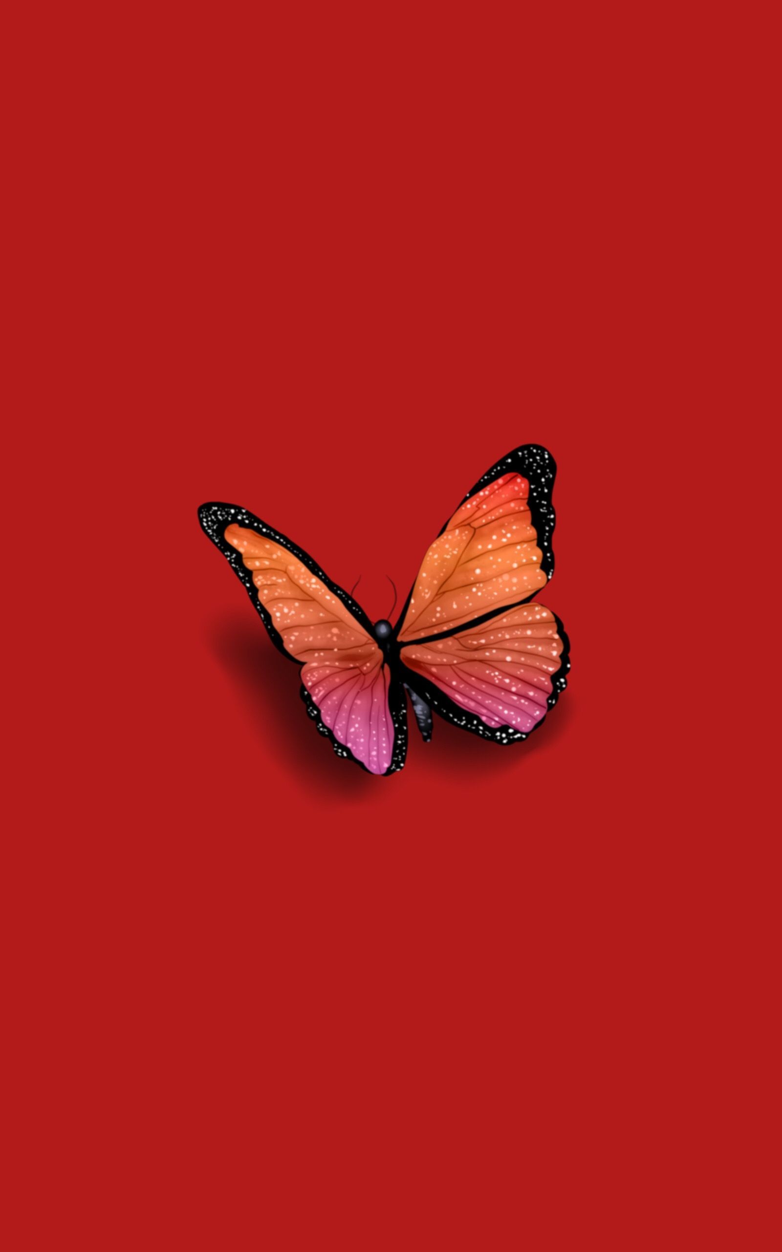 Tumblr Butterfly Wallpapers Wallpaper Cave