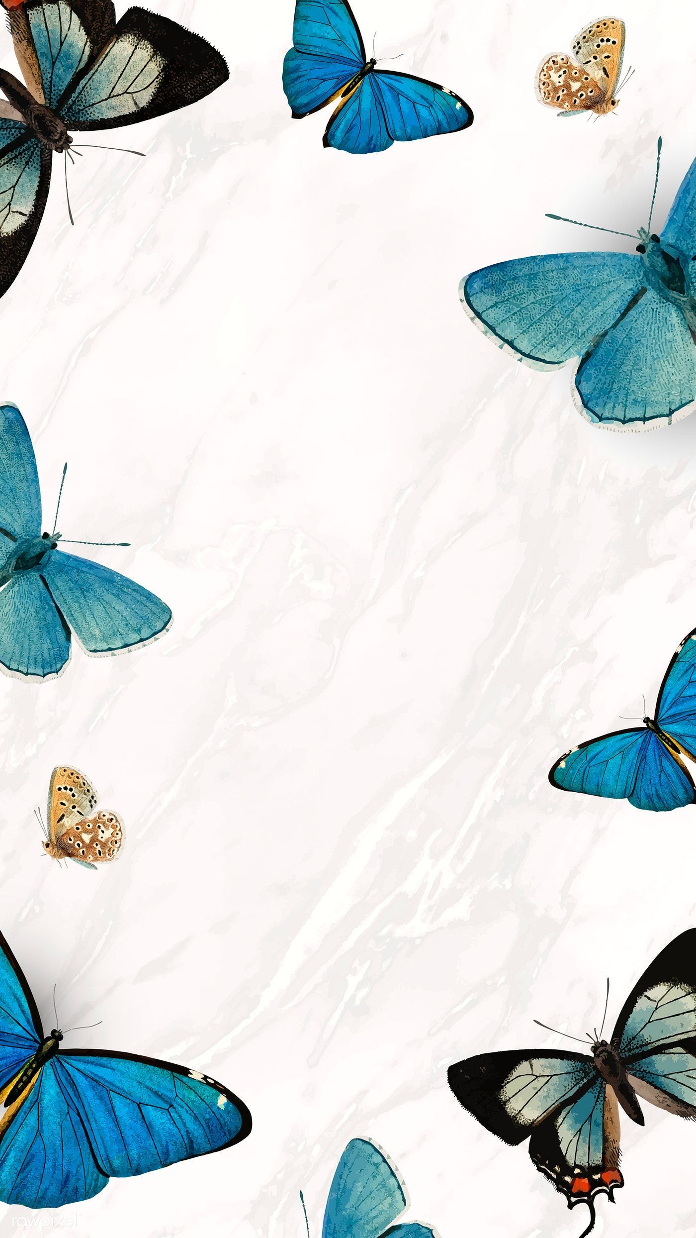 Butterflies Tumblr Wallpapers Wallpaper Cave