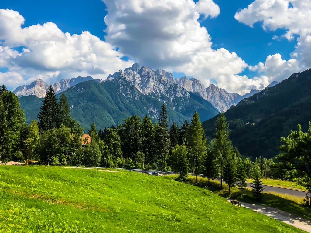 Ultra HD Green Wallpaper