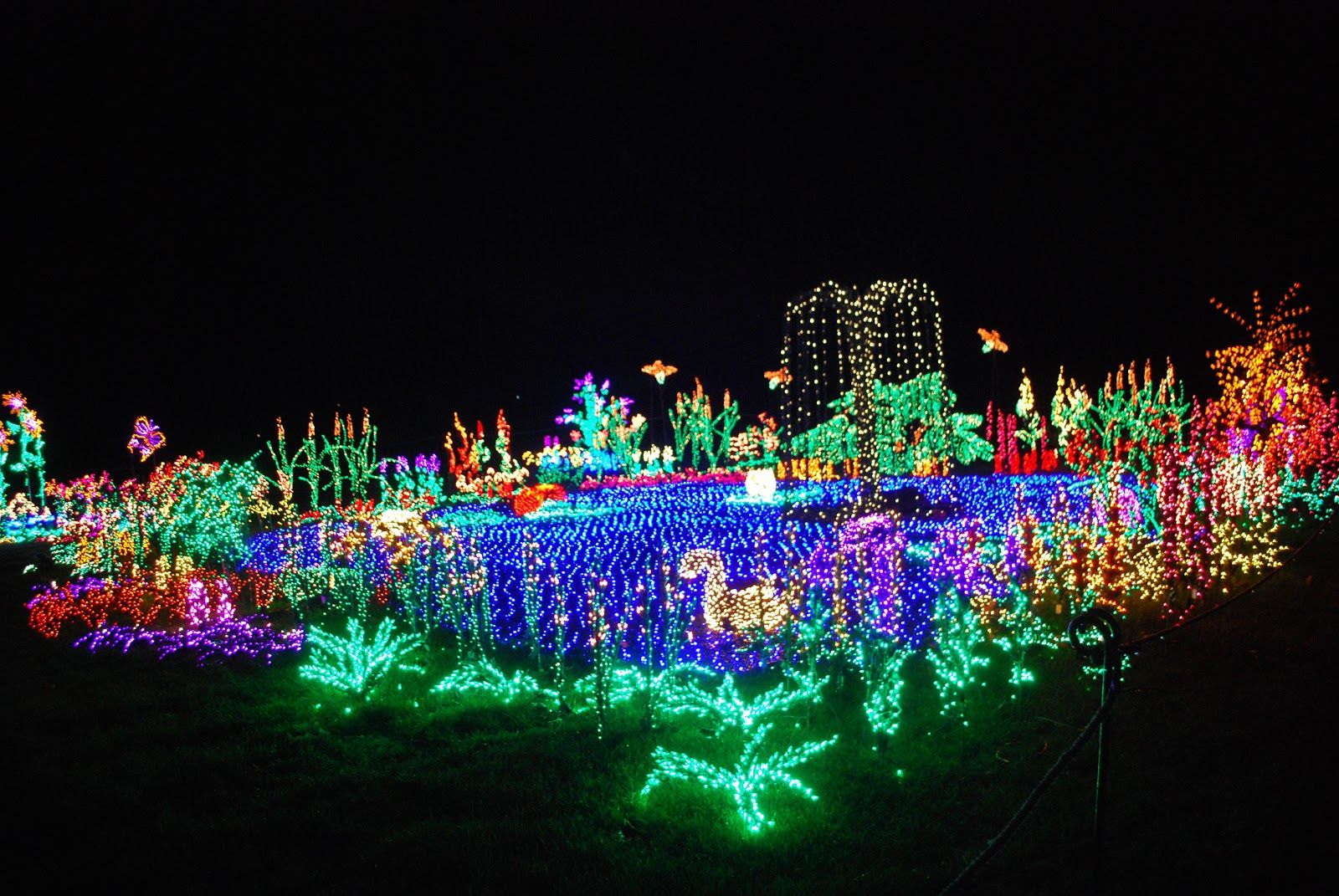 Christmas Lights Blue Wallpapers Wallpaper Cave