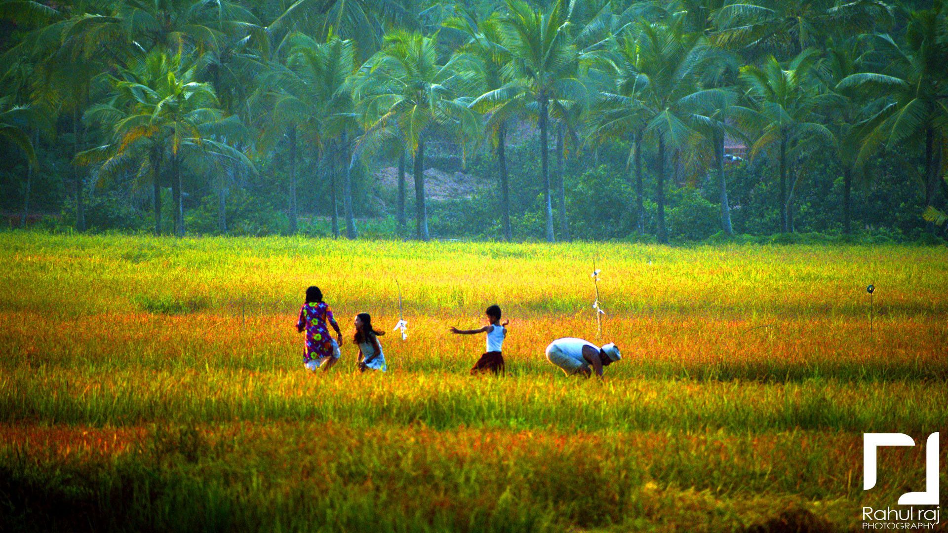 Kerala Traditional Wallpapers Wallpaper Cave