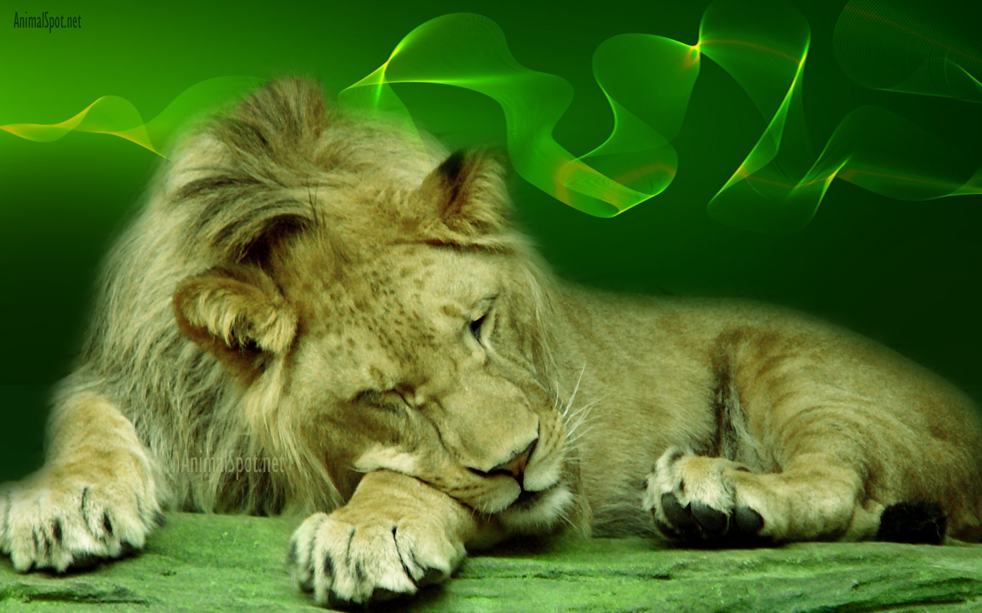 Neon Green Lion