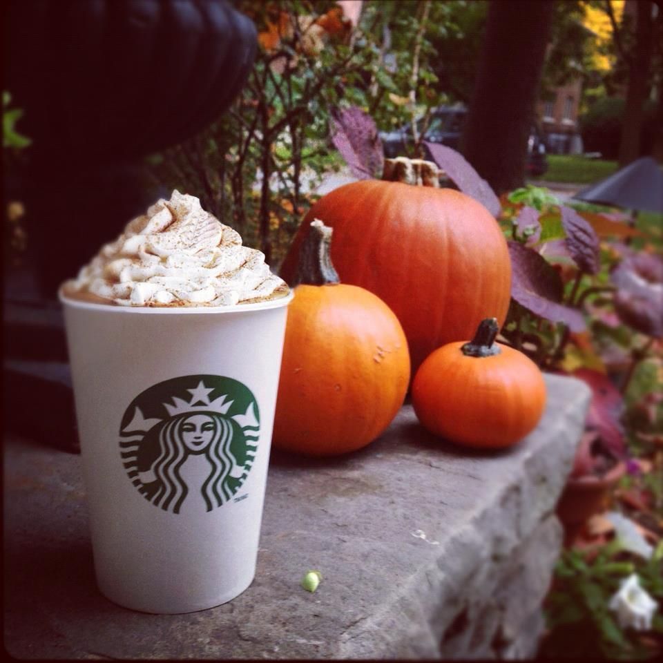 Autumn Starbucks Drink Wallpapers Wallpaper Cave