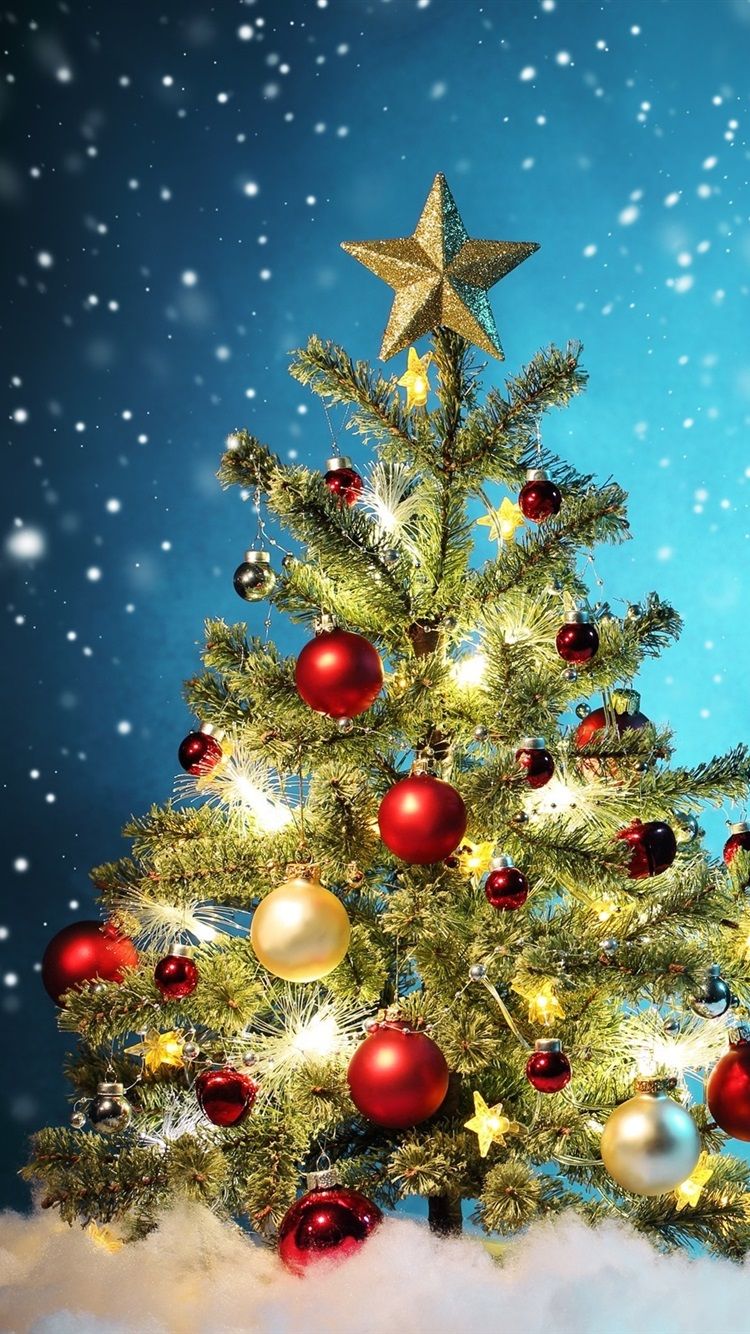 Christmas Trees Beautiful Wallpapers Wallpaper Cave