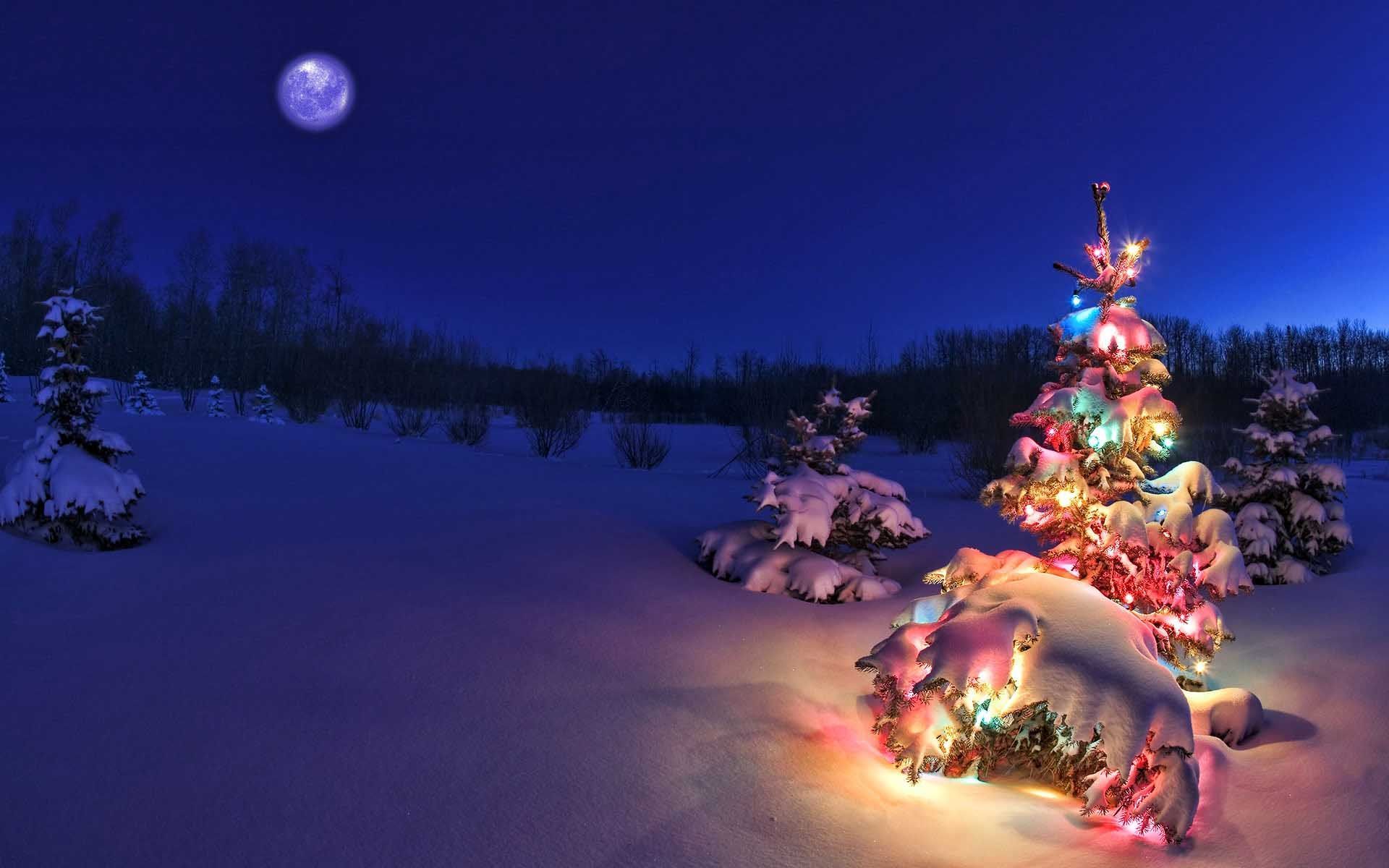 Christmas Tree Landscape Wallpapers Wallpaper Cave