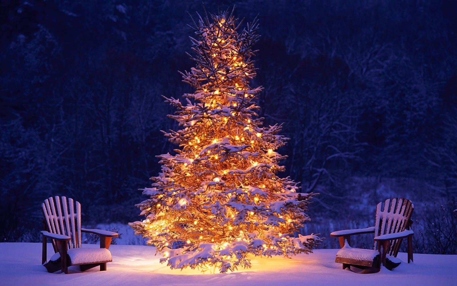 Snow Trees Christmas Wallpapers Wallpaper Cave