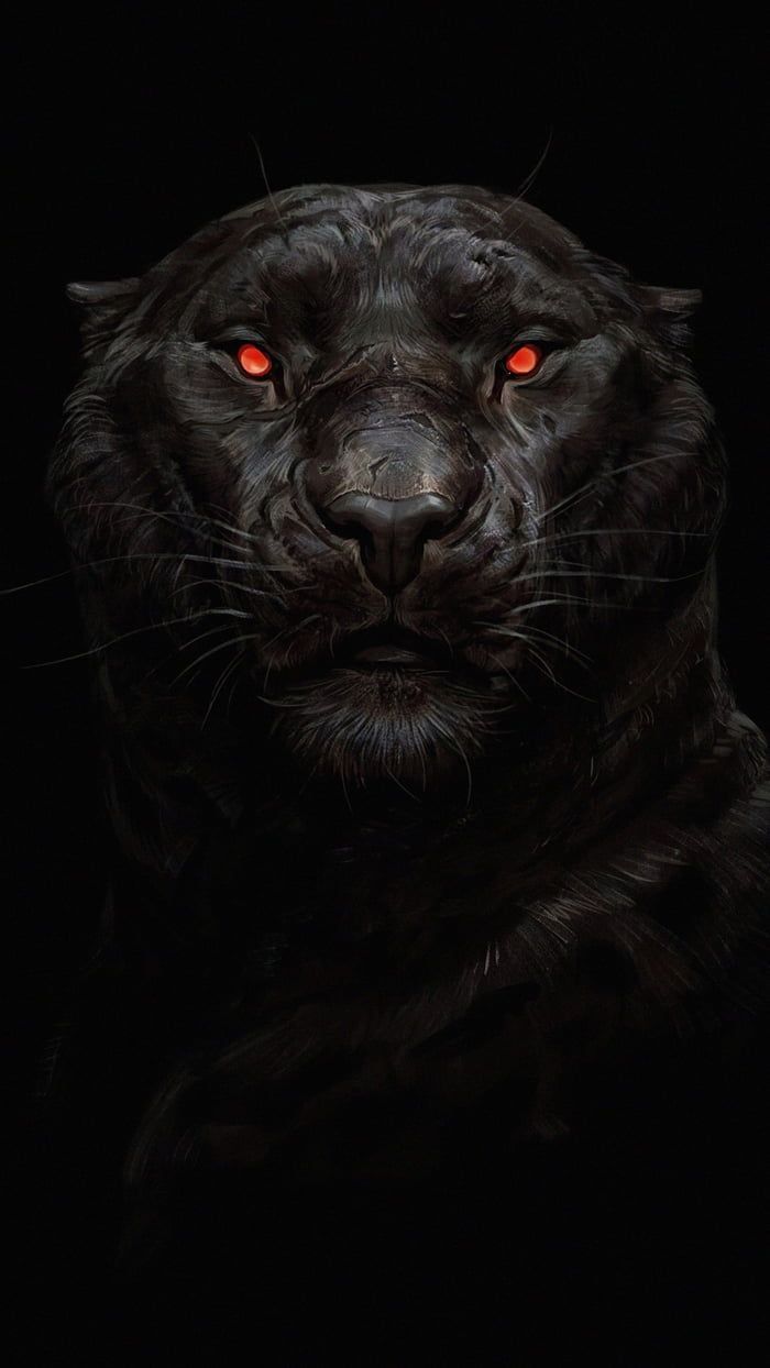 Black Panther Big Cat Wallpapers Wallpaper Cave