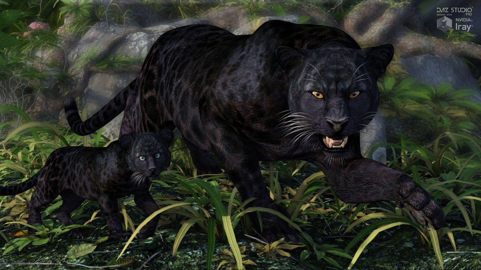 Black Panther Big Cat Wallpapers Wallpaper Cave