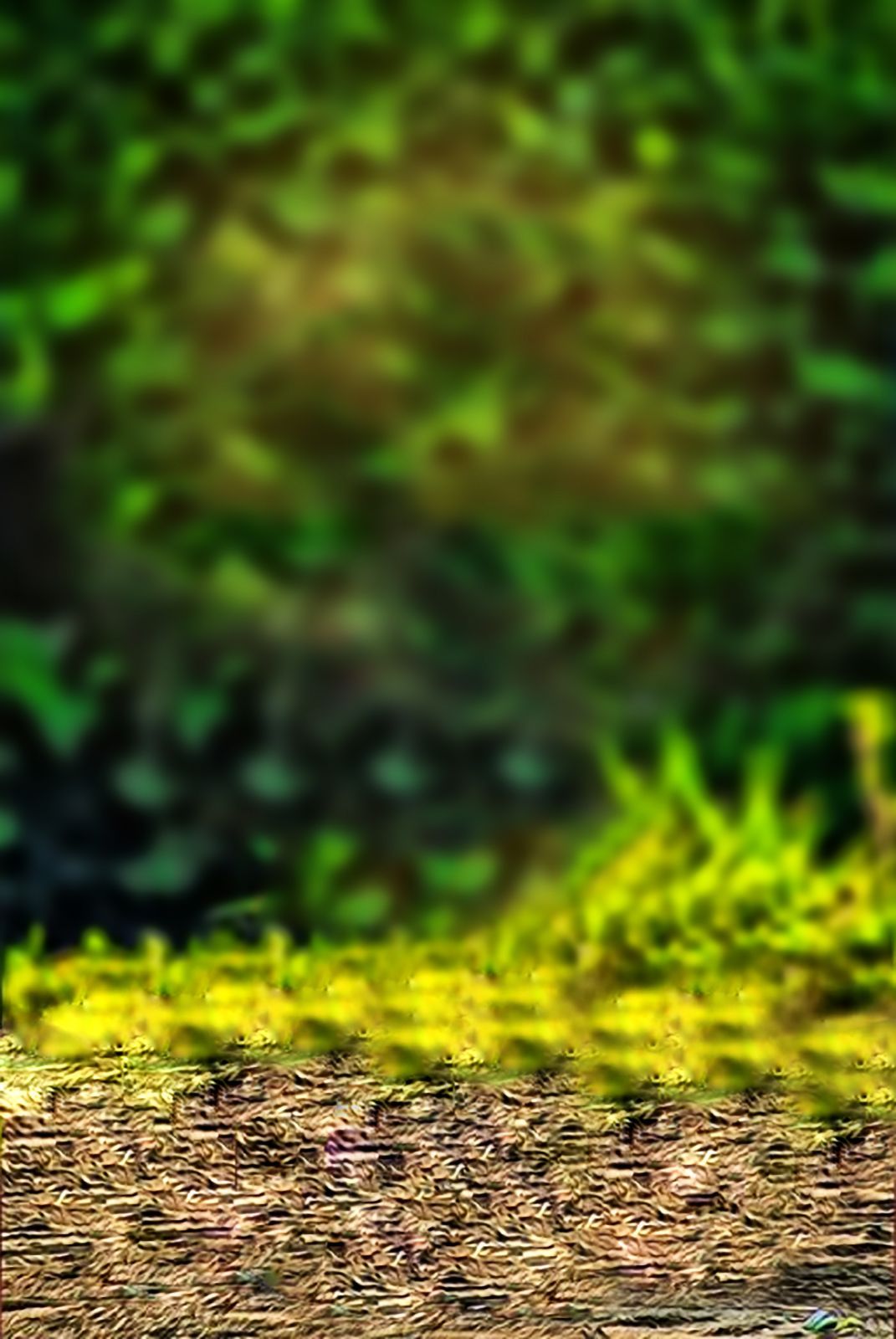 Picsart Photo Background at Jerry Johnson blog