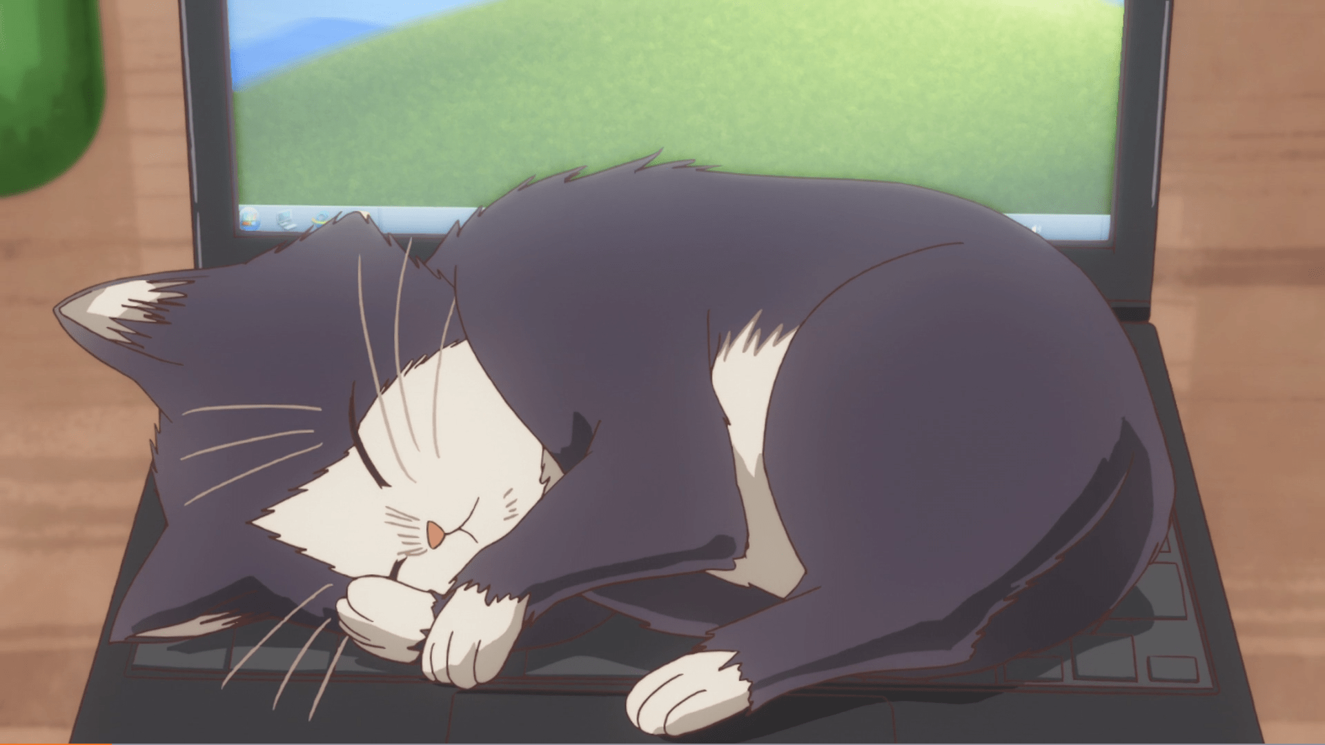 My Roommate Is A Cat Wallpapers Wallpaper Cave