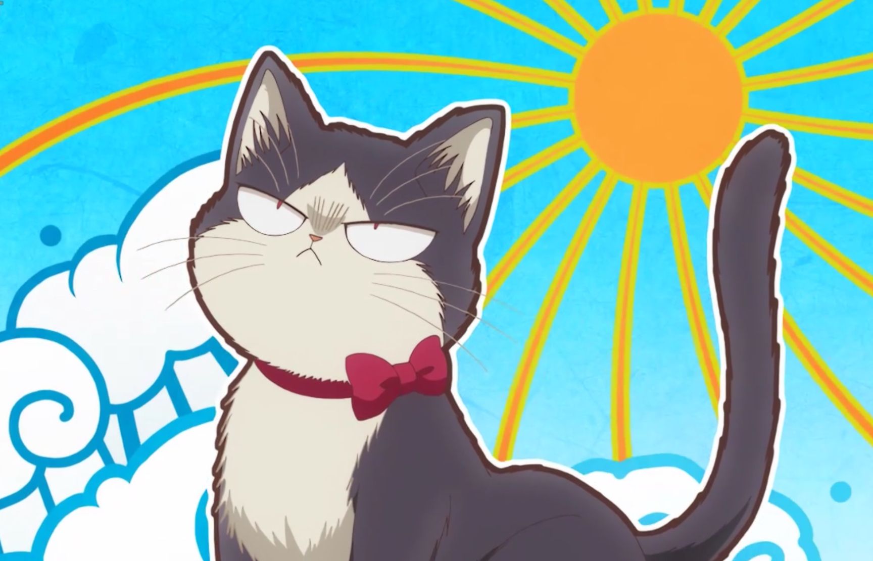 My Roommate Is A Cat Wallpapers Wallpaper Cave