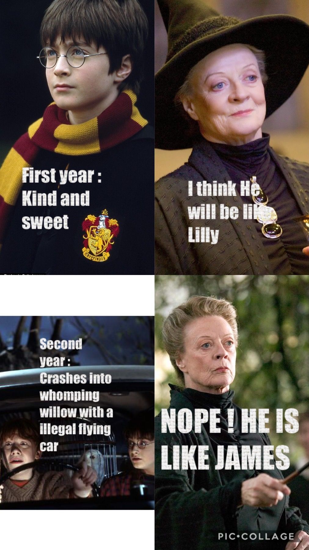 Harry Potter Funny Wallpapers Wallpaper Cave